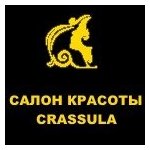 логотип компании Crassula