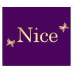 логотип компании Nice