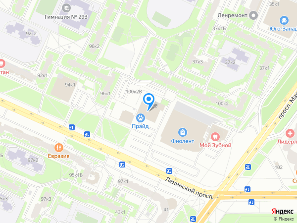 Пурпурная роза на карте