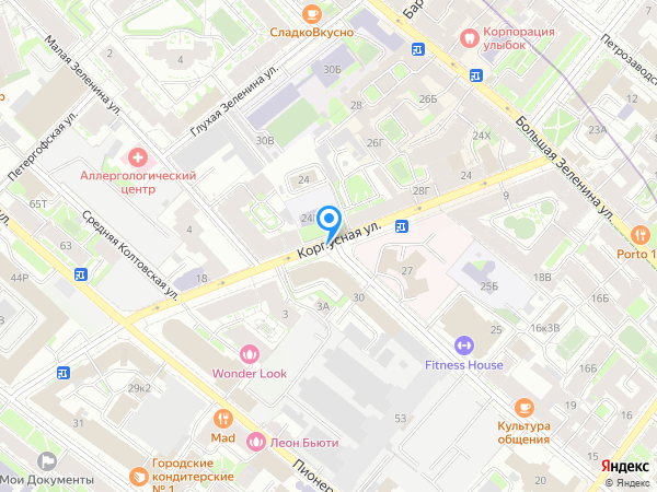 Детский сад 24, Петроградский район на карте