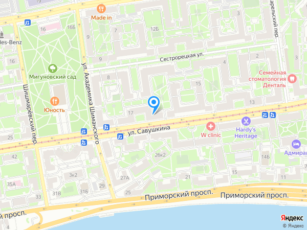 Пандент по адресу ул. Савушкина,17 на карте