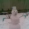 Суррогатный папа