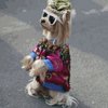 Антон Чернов