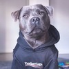 Света Михайлова