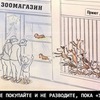 Нелли Котик