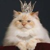 Лиза Тимошина