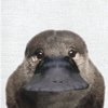 Артём