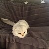Дарья Иванова