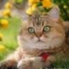 Валентина Смогина