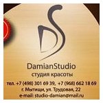 логотип компании Damian Studio