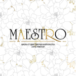 логотип компании Maestro